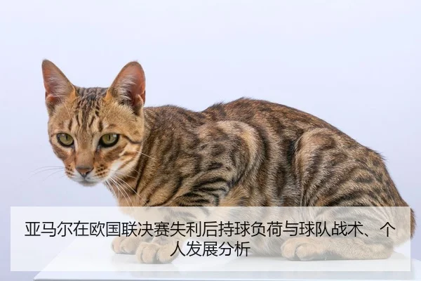 ya-ma-er-zai-ou-guo-lian-jue-sai-shi-li-hou-chi-qiu-fu-he-yu-qiu-dui-zhan-shu-ge-ren-fa-zhan-fen-xi-2-405.jpg